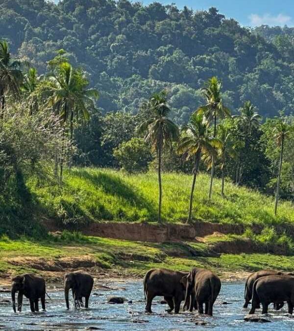 10 Interesting Facts about Sri Lanka